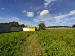 Vista 50