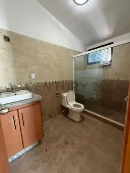 Vista 15