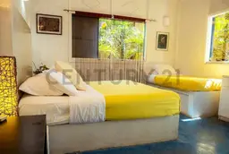 View 26
