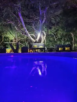 View 68