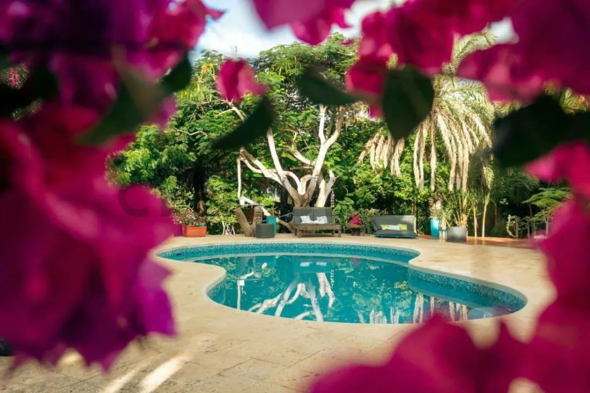 En venta Posada totalmente activa en el Yaque, Isla de Margarita - 77