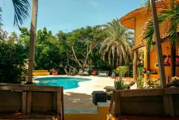 View 81