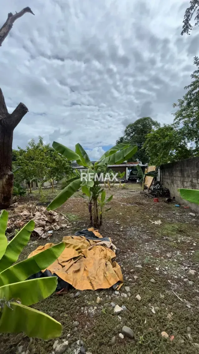 En Venta Casa ubicada en Guanare, sector La Arenosa, calle 14, casa 15-67, Guanare, Portuguesa, Venezuela - 14