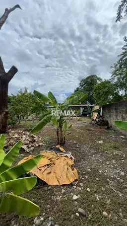 View 14
