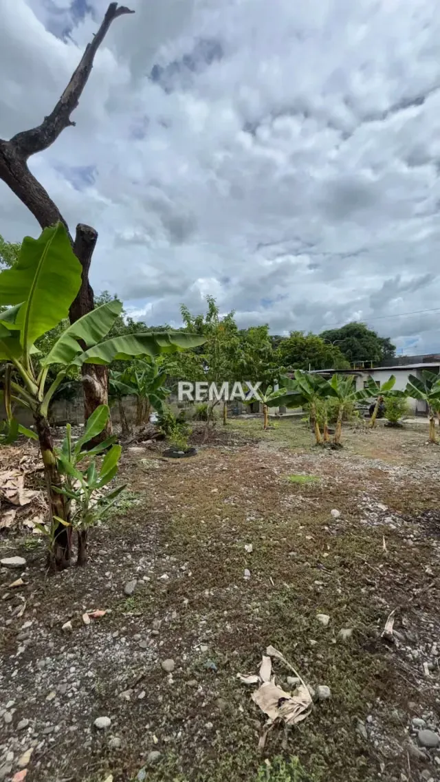 En Venta Casa ubicada en Guanare, sector La Arenosa, calle 14, casa 15-67, Guanare, Portuguesa, Venezuela - 15