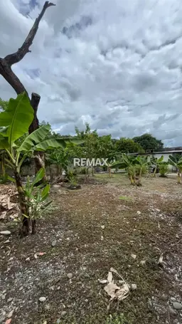 View 15