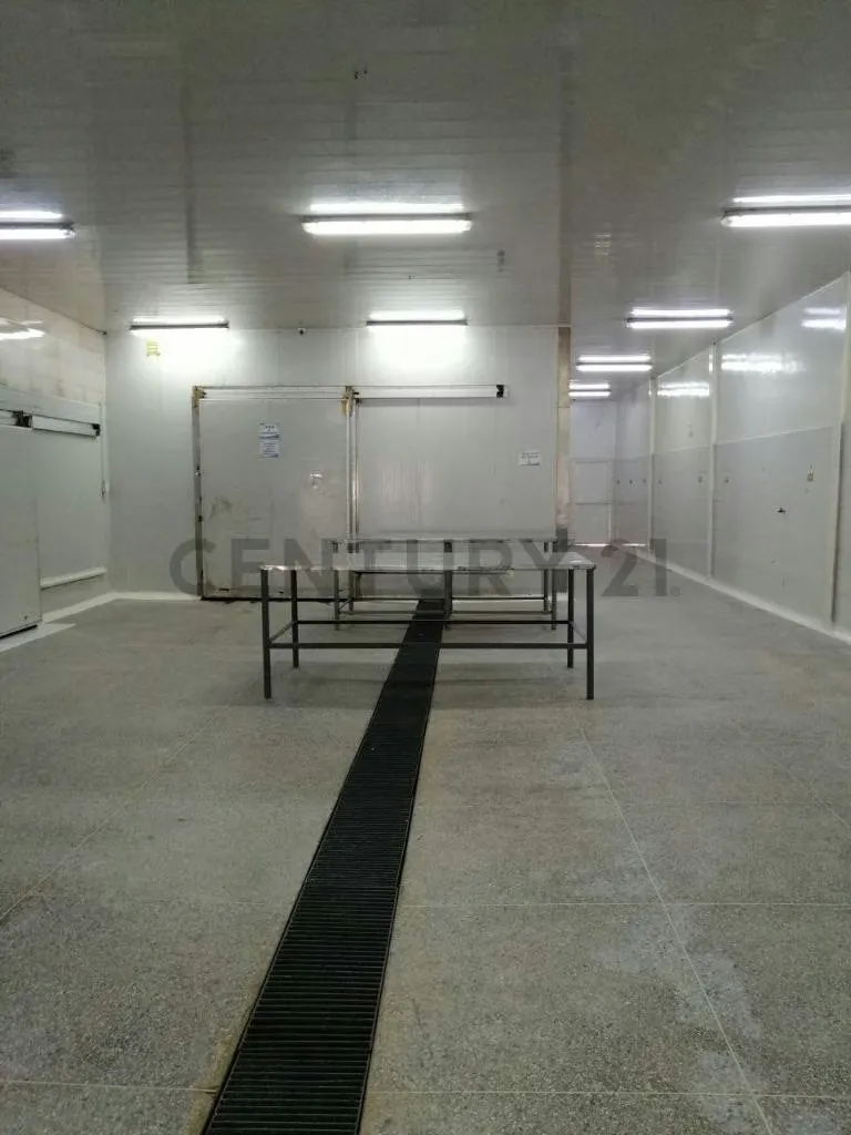 Galpones en venta Cumana Estado Sucre a puerta de avenida rotaria - 39