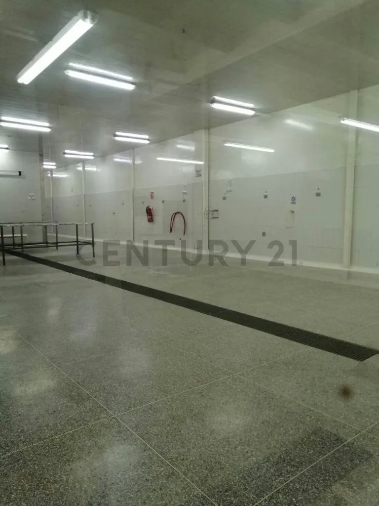 Galpones en venta Cumana Estado Sucre a puerta de avenida rotaria - 49