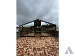 Vista 4