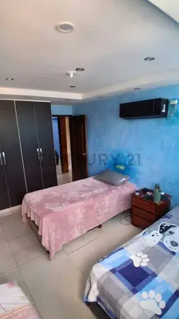 Vista 12