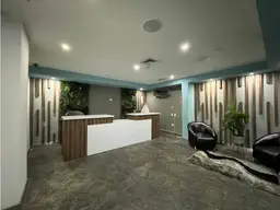 Vista 1