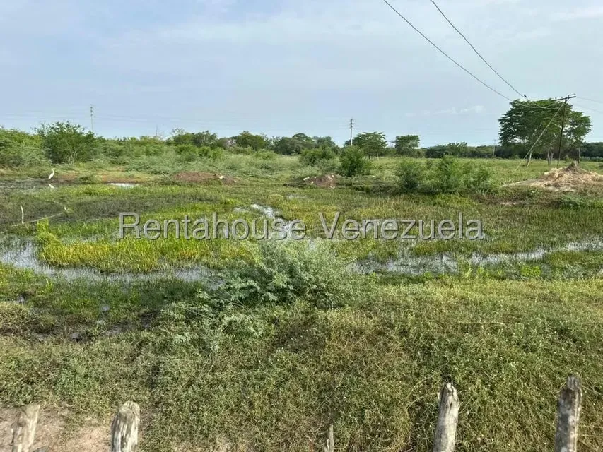 Terreno (Comercial) en Venta en Plaza Alonso, Zulia - 11