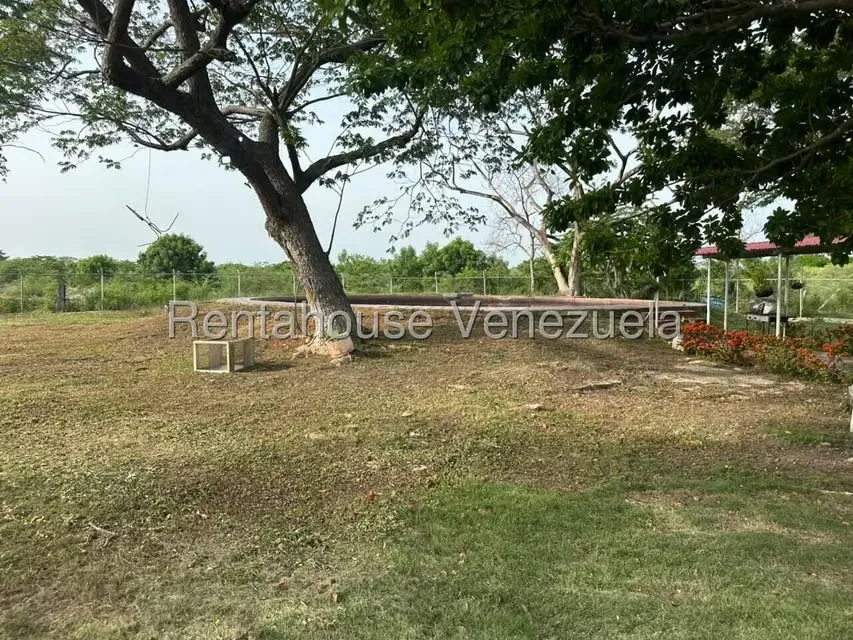 Terreno (Comercial) en Venta en Plaza Alonso, Zulia - 12