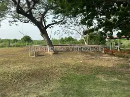 View 12