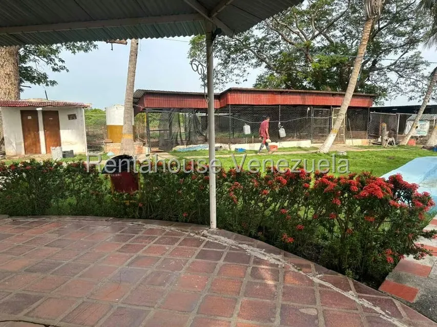 Terreno (Comercial) en Venta en Plaza Alonso, Zulia - 2