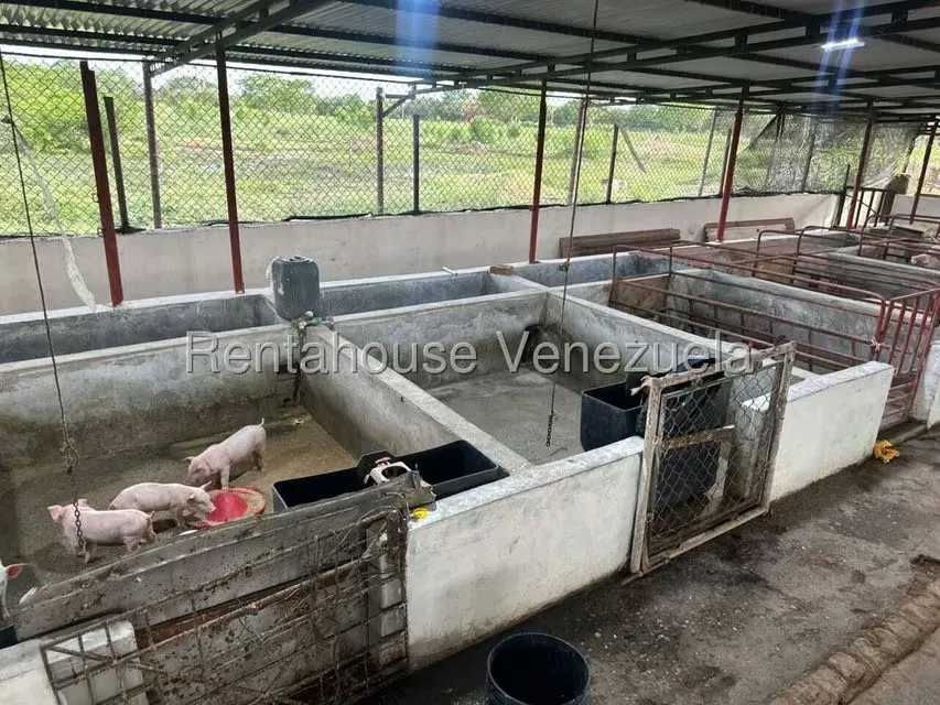 Terreno (Comercial) en Venta en Plaza Alonso, Zulia - 7