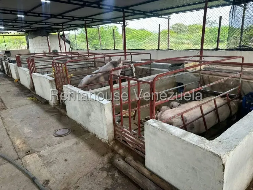 Terreno (Comercial) en Venta en Plaza Alonso, Zulia - 8