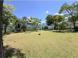 View 43