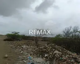 View 7