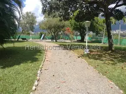 Vista 33