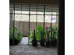 View 6