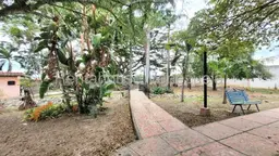 View 33