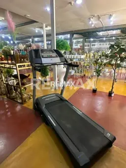Vista 4