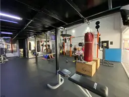 Vista 1