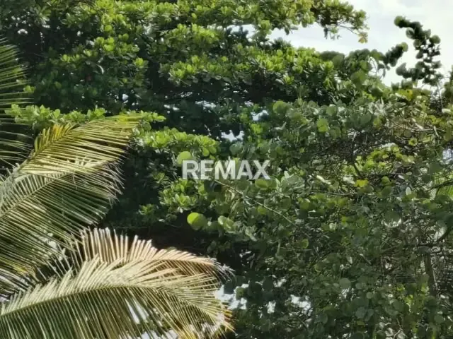 Apartamento en venta Residencia Jardin de Higuerote - 17