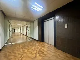 Vista 25