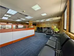 Vista 5