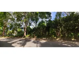 Vista 1