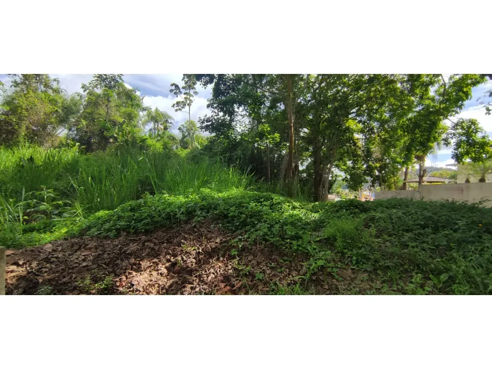 La Lagunita Terreno en venta - 3