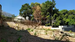 View 10