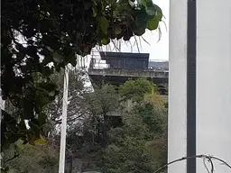 View 6