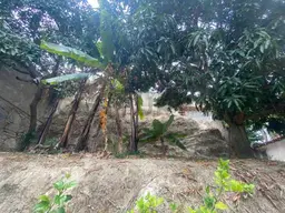 View 10