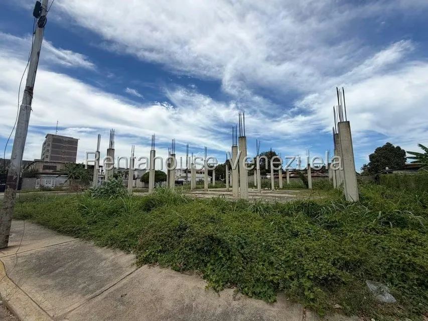 Terreno (Comercial) en Venta en Ambrosio, Zulia - 2