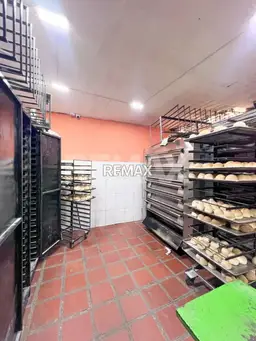 Vista 3