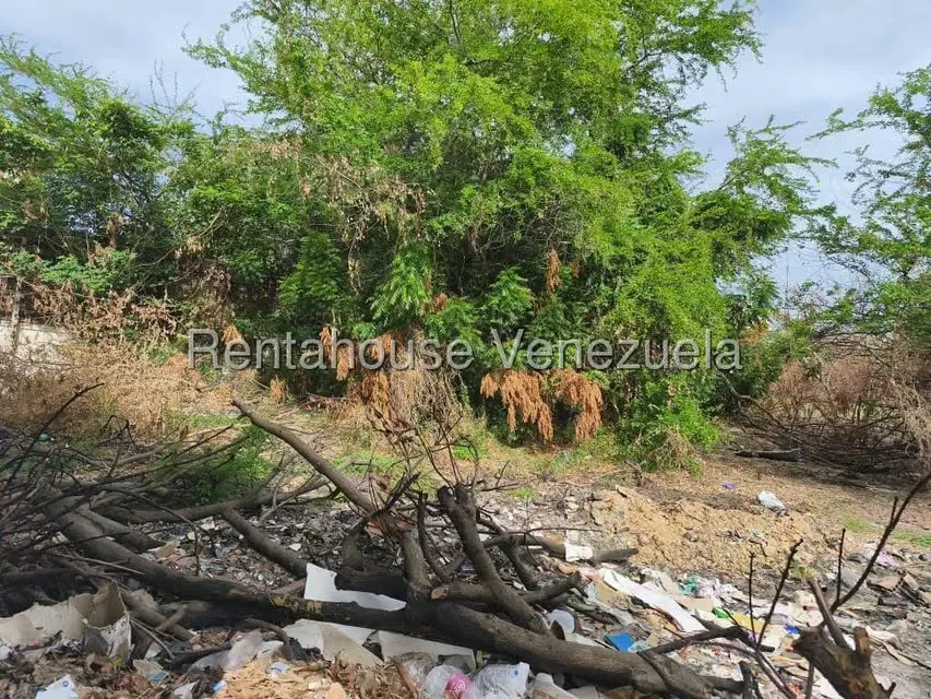 Terreno (Comercial) en Venta en Avenida Universidad, Zulia - 11
