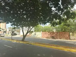 View 15