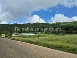 Vista 4