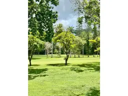 View 1