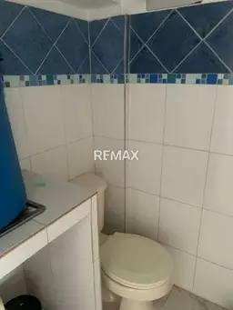 Vista 3
