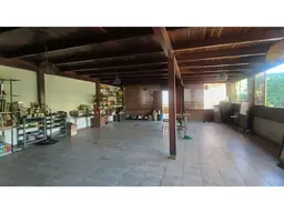Vista 17