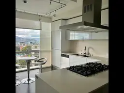 Vista 33