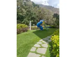 View 43