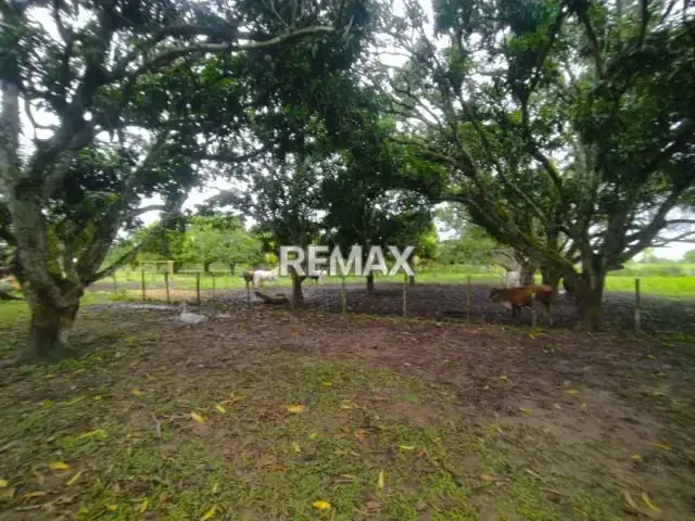 En Venta Granja con Casa de Campo y Excelente Potencial Turístico en vía Maturín - Orocual.