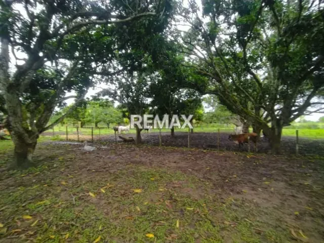 En Venta Granja con Casa de Campo y Excelente Potencial Turístico en vía Maturín - Orocual.