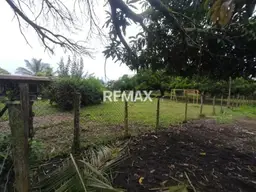 View 11