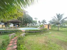 View 14
